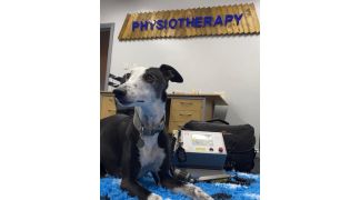 Physiotherapy